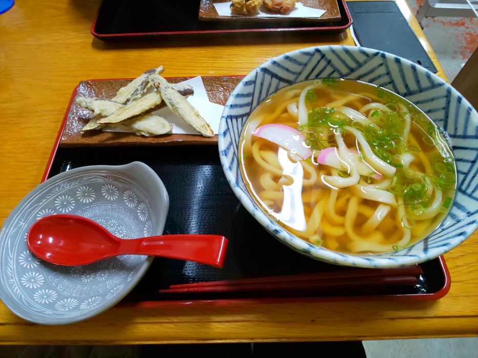 ごぼう天うどん