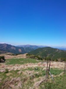 plateau1