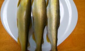 sweet fish