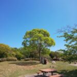 緑地のベンチ