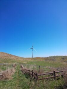 wind power