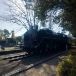 train