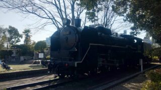 train