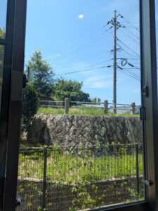 window