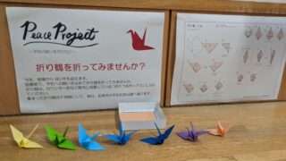 peace project