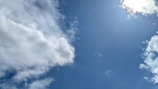 sunlight